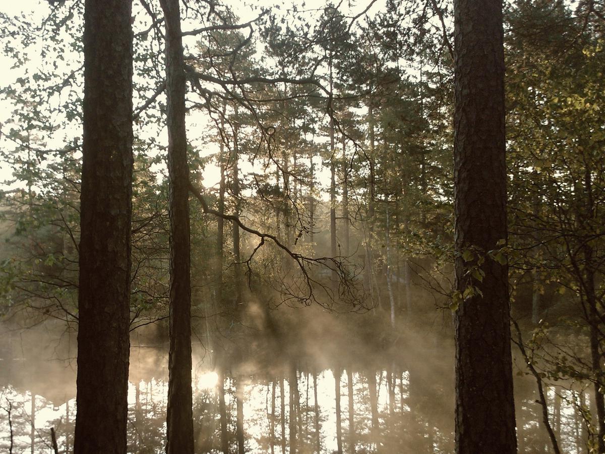 Ecolodge Le Bruit De L'Eau Saint-Quentin-en-Tourmont Exteriér fotografie