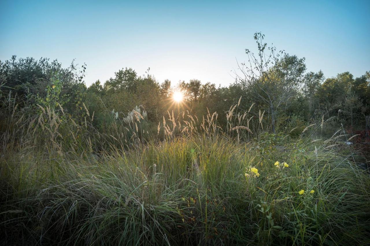 Ecolodge Le Bruit De L'Eau Saint-Quentin-en-Tourmont Exteriér fotografie